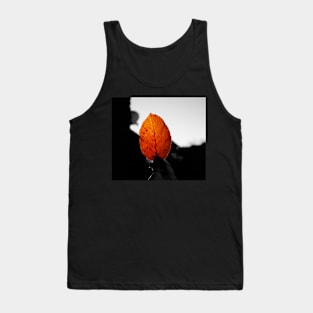 What can I use autumn leaves for? Tank Top